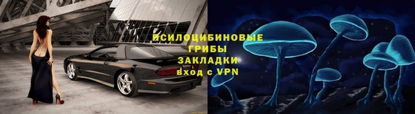 индика Янаул