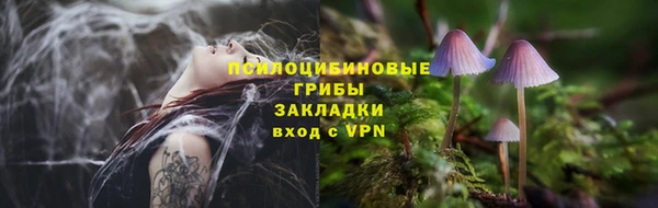 сатива Абаза