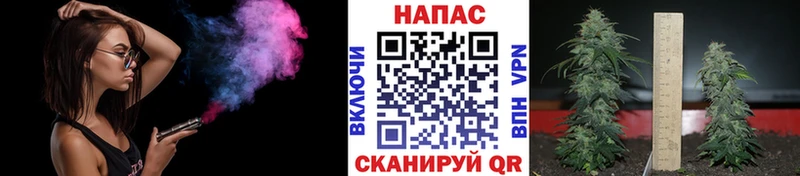 Канабис индика  закладки  Берёзовка 